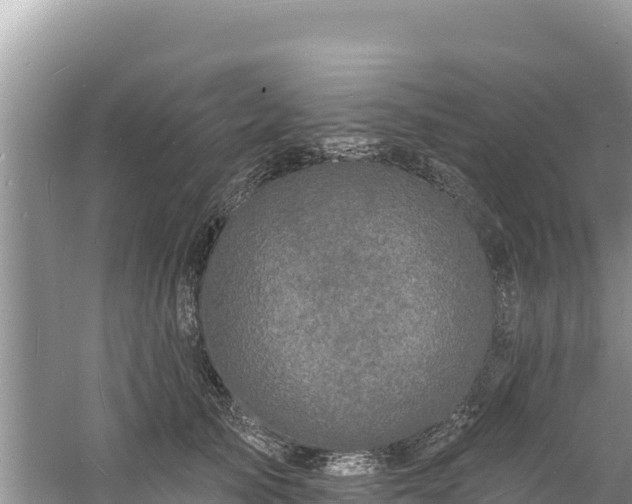 X0000060790705200511141444