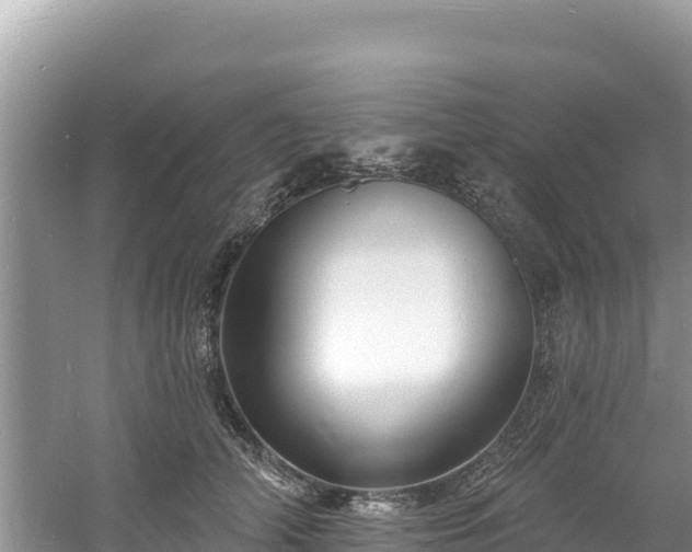 X0000060790706200511141444