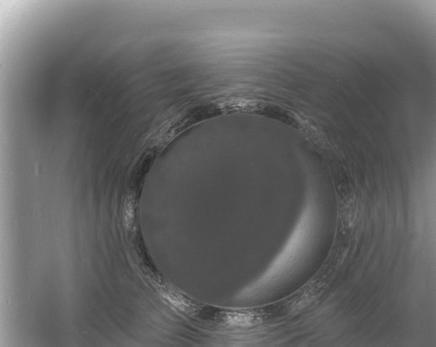 X0000060790709200511141444