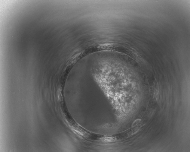 X0000060790711200511141444