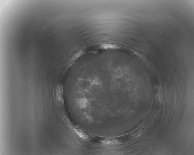 X0000060790712200511141444