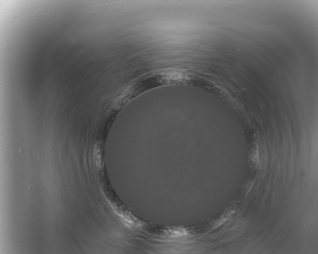 X0000060790715200511141444