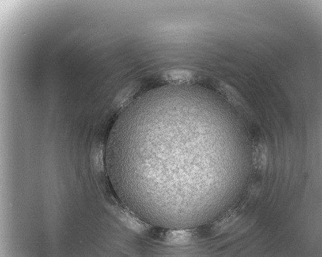 X0000060790717200511141444