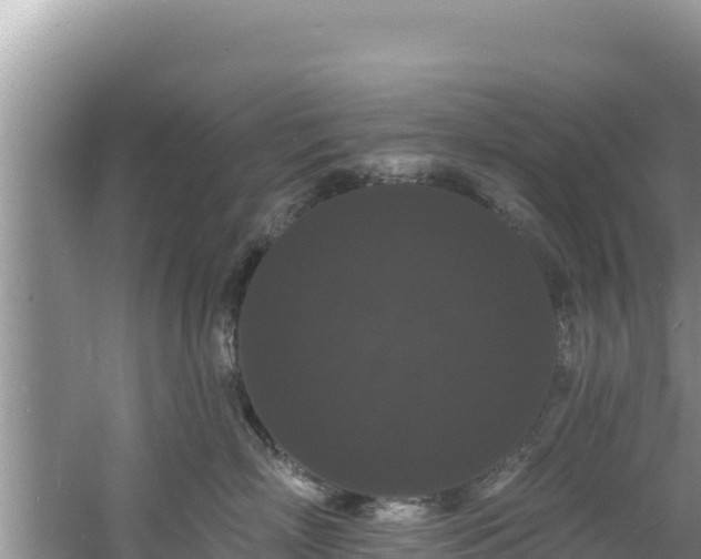 X0000060790718200511141444