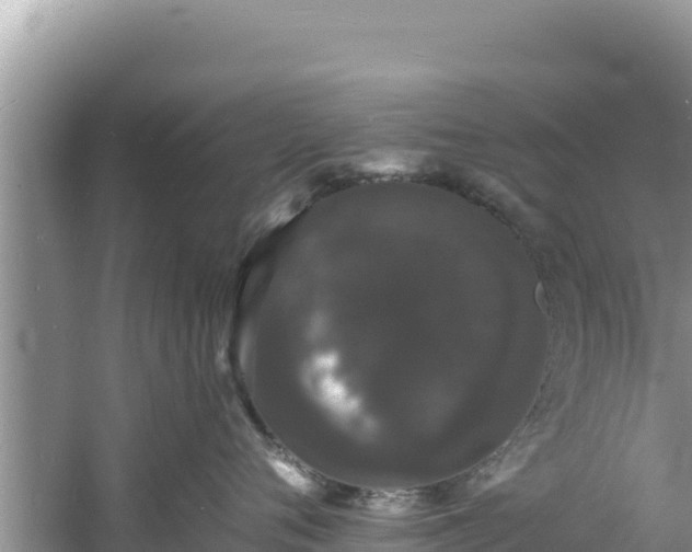 X0000060790720200511141444