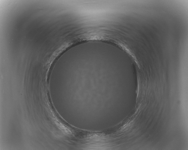 X0000060790721200511141443