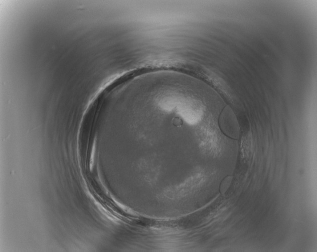 X0000060790722200511141443