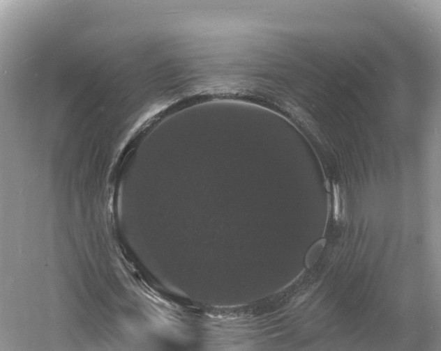 X0000060790723200511141443