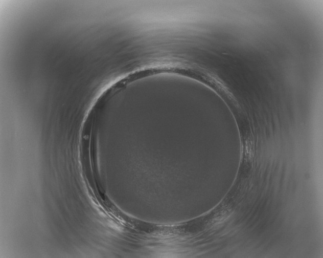 X0000060790724200511141443