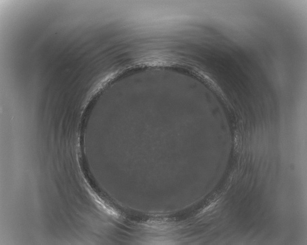 X0000060790725200511141443