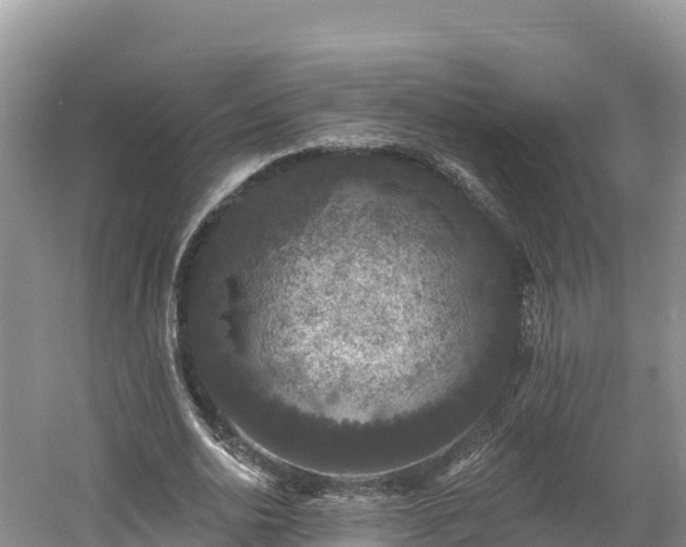 X0000060790726200511141443