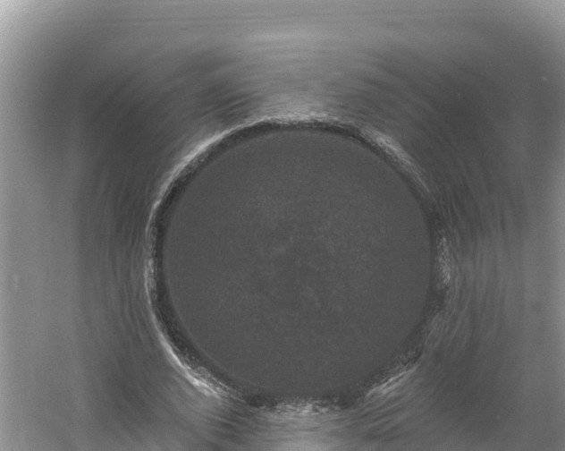 X0000060790728200511141443