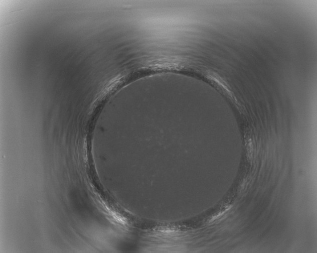 X0000060790729200511141443