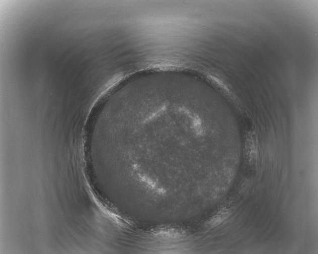 X0000060790730200511141443