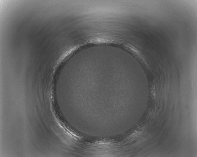 X0000060790732200511141443