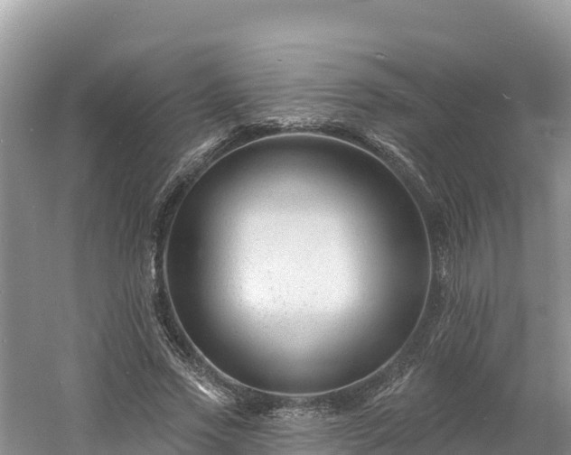 X0000060790733200511141443