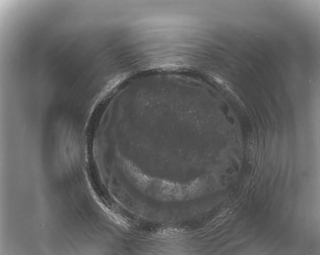 X0000060790734200511141443