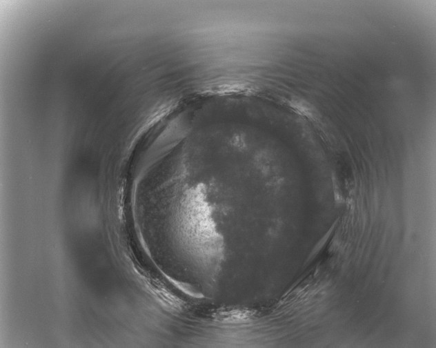 X0000060790735200511141443