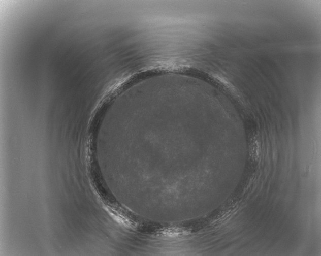 X0000060790736200511141443