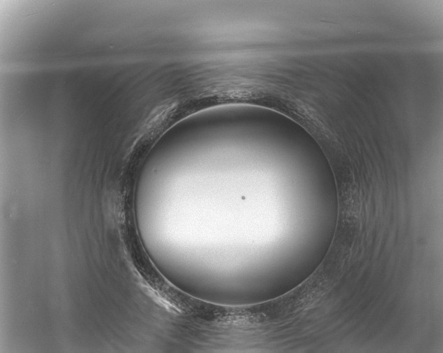 X0000060790738200511141443