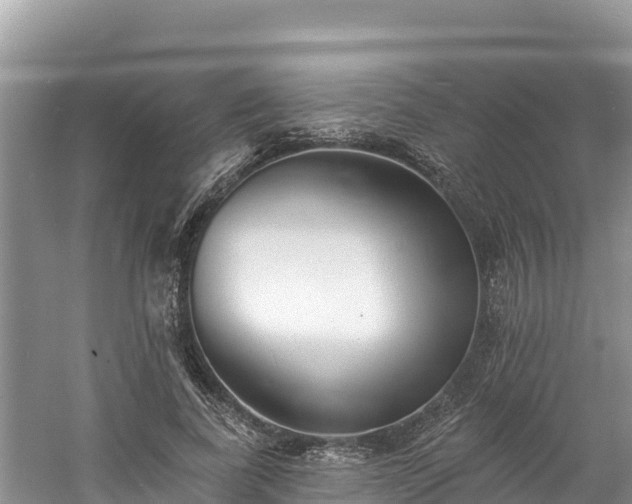 X0000060790739200511141443