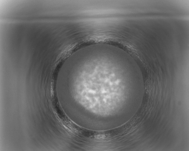 X0000060790740200511141443