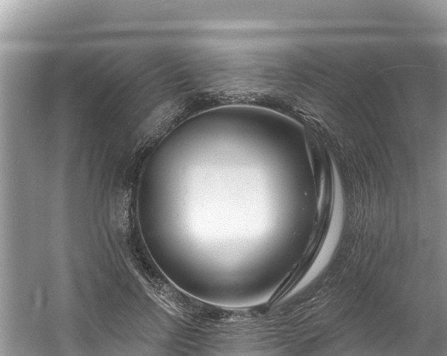 X0000060790742200511141443