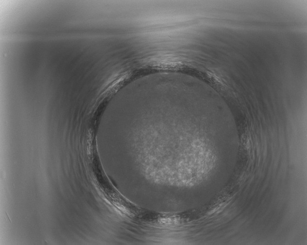 X0000060790744200511141443