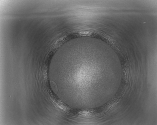 X0000060790745200511141443