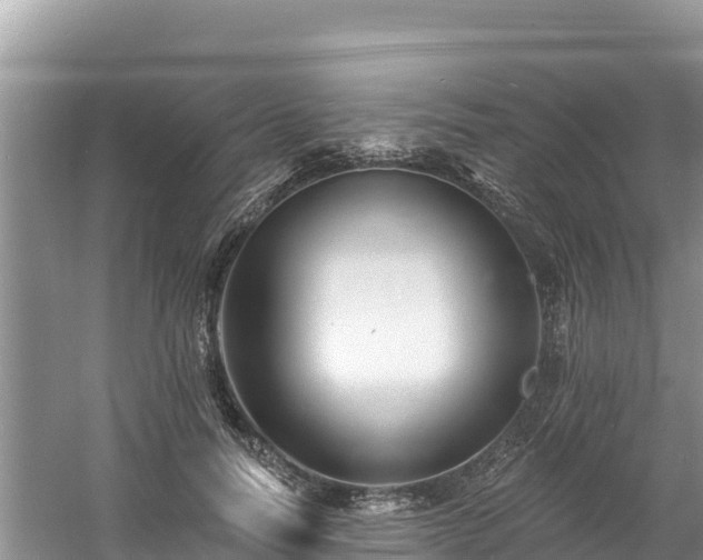 X0000060790746200511141443