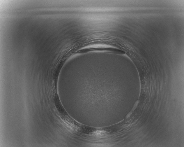 X0000060790748200511141443