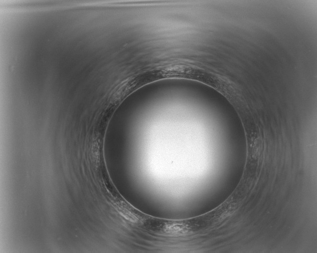 X0000060790753200511141443