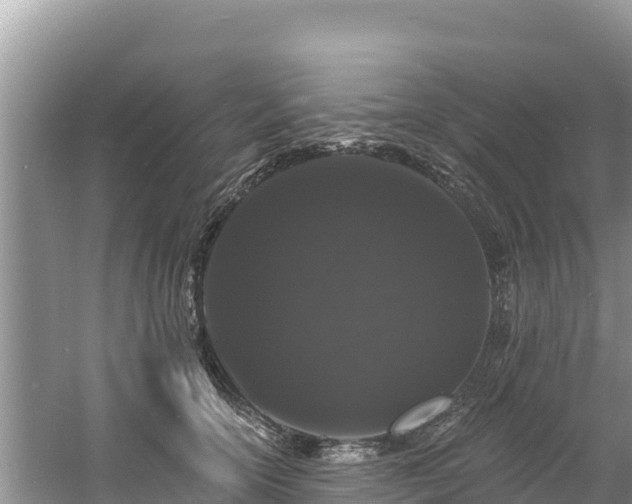 X0000060790754200511141443