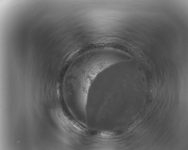 X0000060790758200511141443