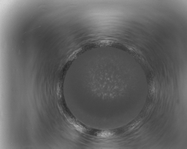 X0000060790759200511141443