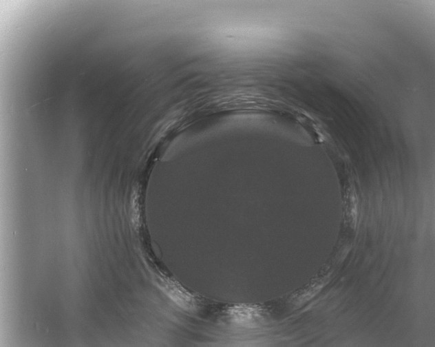 X0000060790762200511141443