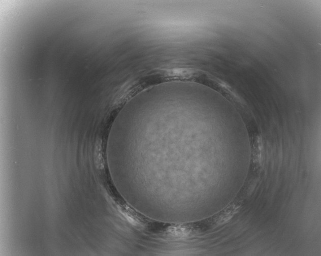 X0000060790764200511141443