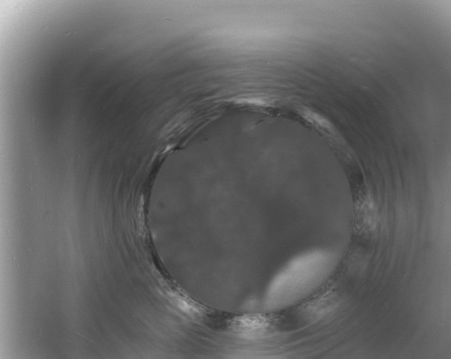 X0000060790765200511141443