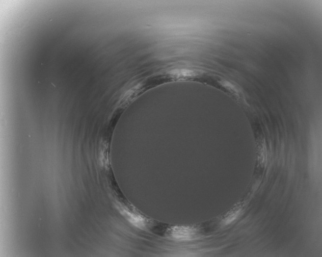 X0000060790766200511141443