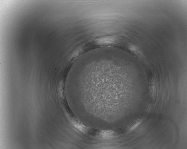 X0000060790767200511141443