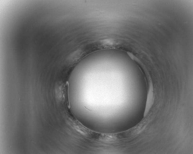 X0000060790768200511141443