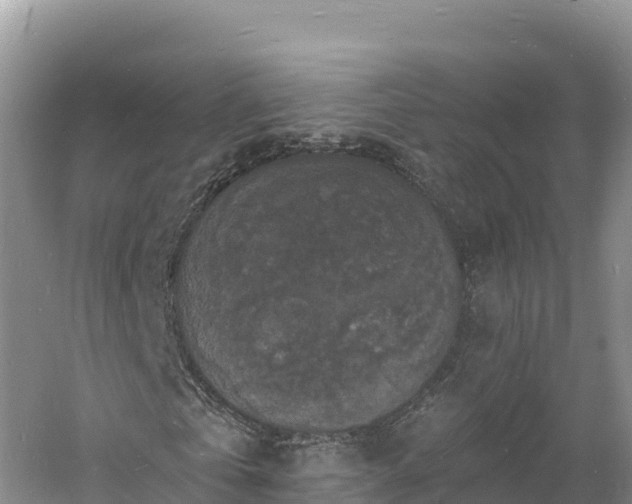 X0000060790769200511141443