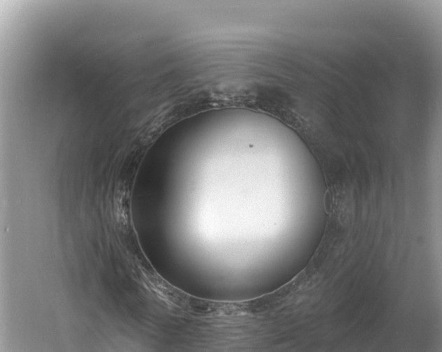 X0000060790770200511141443