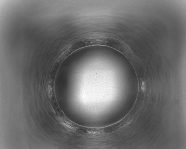 X0000060790771200511141443