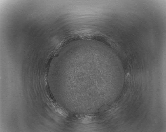 X0000060790772200511141443