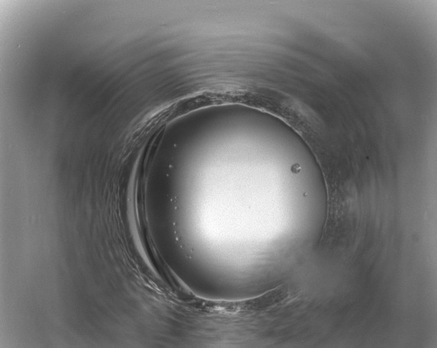 X0000060790773200511141443