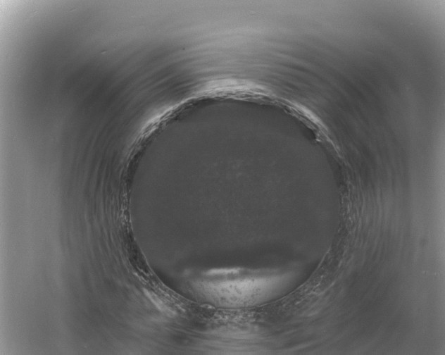 X0000060790775200511141443