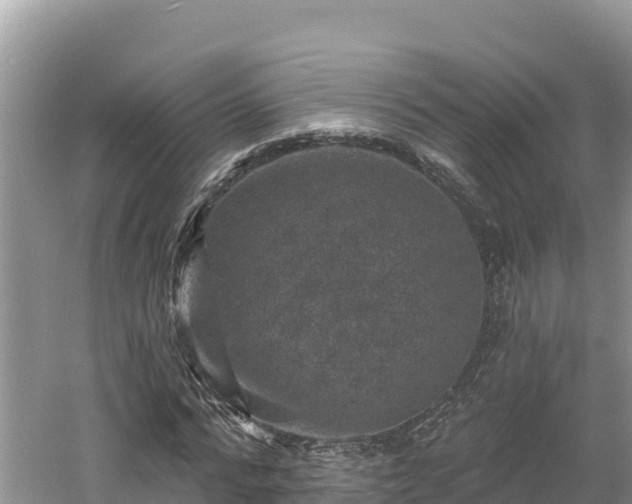 X0000060790776200511141443