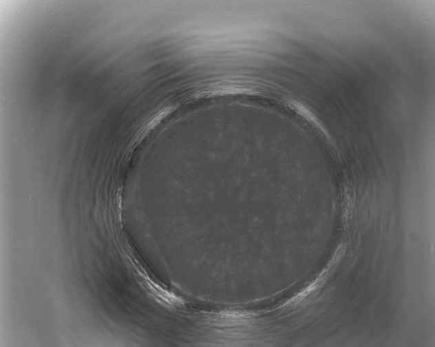 X0000060790777200511141443