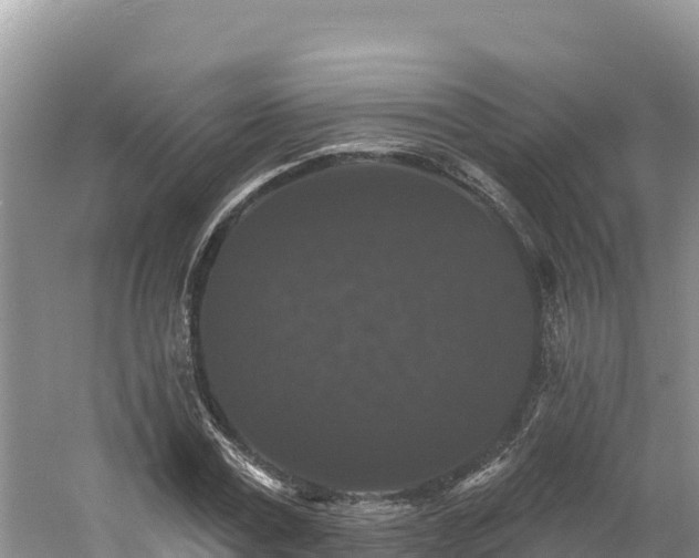 X0000060790779200511141443